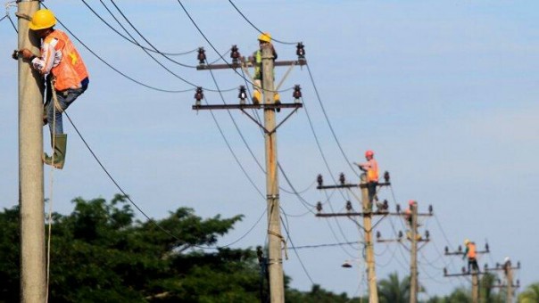Pekerjaan lapangan yang dilakukan pihak PLN