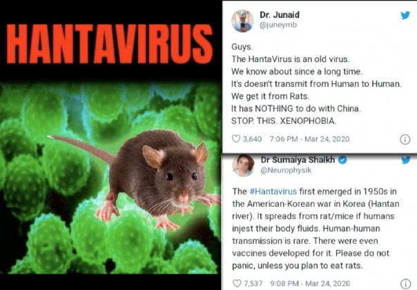 Hantavirus