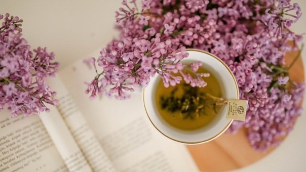 6 Jenis Teh Herbal yang Baik Dikonsumsi untuk Meningkatkan Stamina Tubuh 6 Jenis Teh Herbal yang Baik Dikonsumsi untuk Meningkatkan Stamina Tubuh