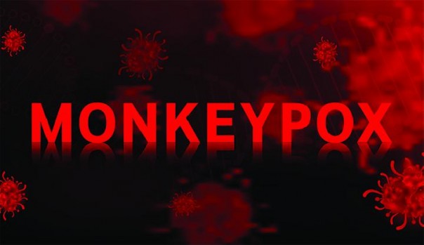 Kementerian Kesehatan : Monkeypox Belum Terdeteksi di Indonesia: 