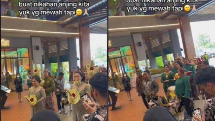 VIRAL Video Pernikahan Anjing Super Mewah Bernuansa Adat Jawa, Digelar di Kawasan Elite