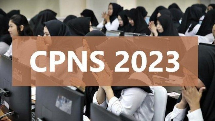 Cek Formasi CPNS 2023 di 72 Instansi Pemerintah Pusat dan Daerah, Ini Jadwal Pendaftaran CPNS 2023