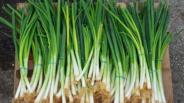 6 Potensi Daun Bawang untuk Kesehatan, Cegah Masalah Pencernaan hingga Lawan Kanker